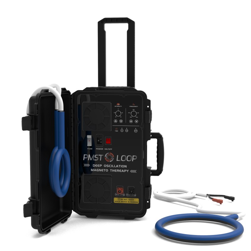 PMST LOOP PEMF Therapy Horse E - Therapy Health And Wellness 评论和价格