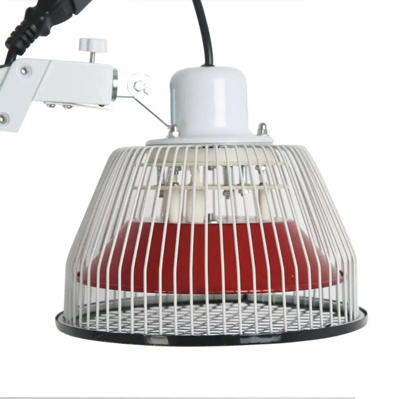 Traditional Chinese TDP Lamps  - Therapy Health And Wellness 评论和价格